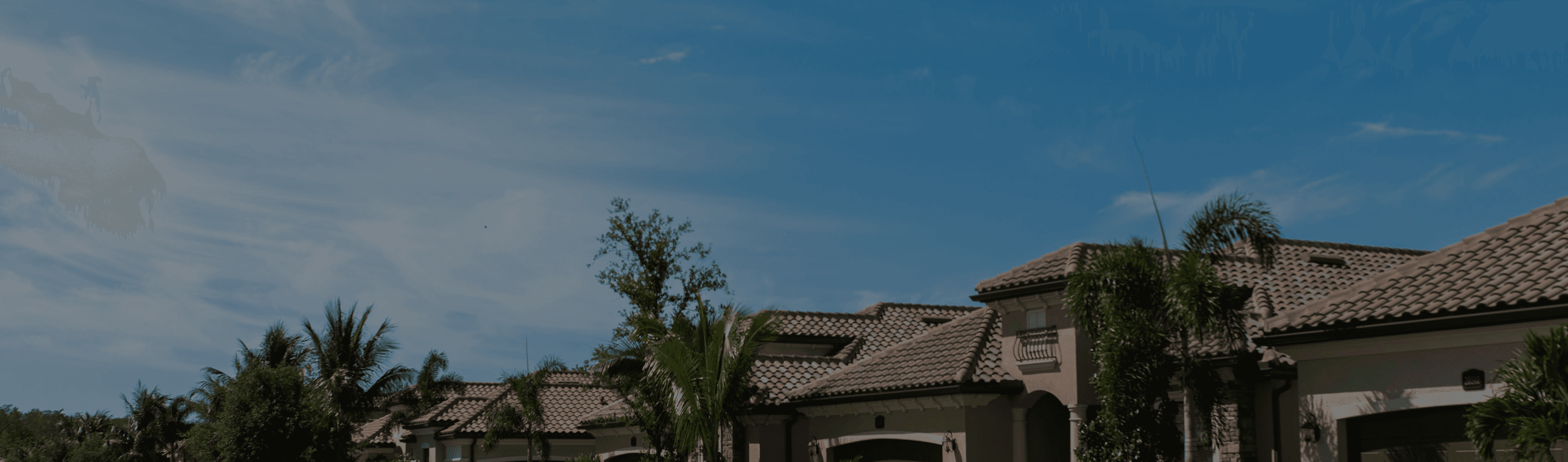 Banner Background
